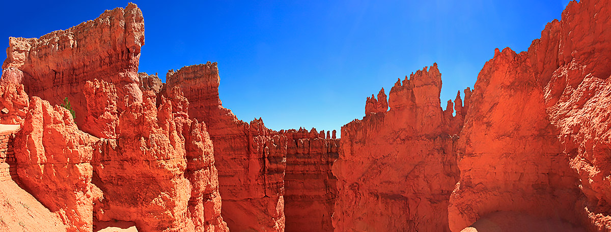 [Group-37]- MG 3436  MG 3440-5-images